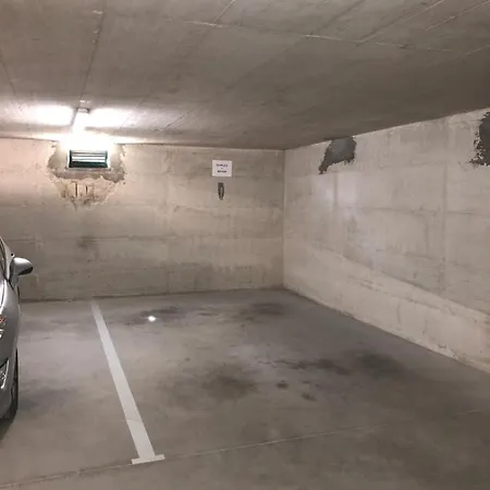 Duplex + Garage ロヴィニ