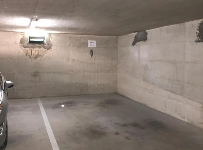 Duplex + Garage 로비니